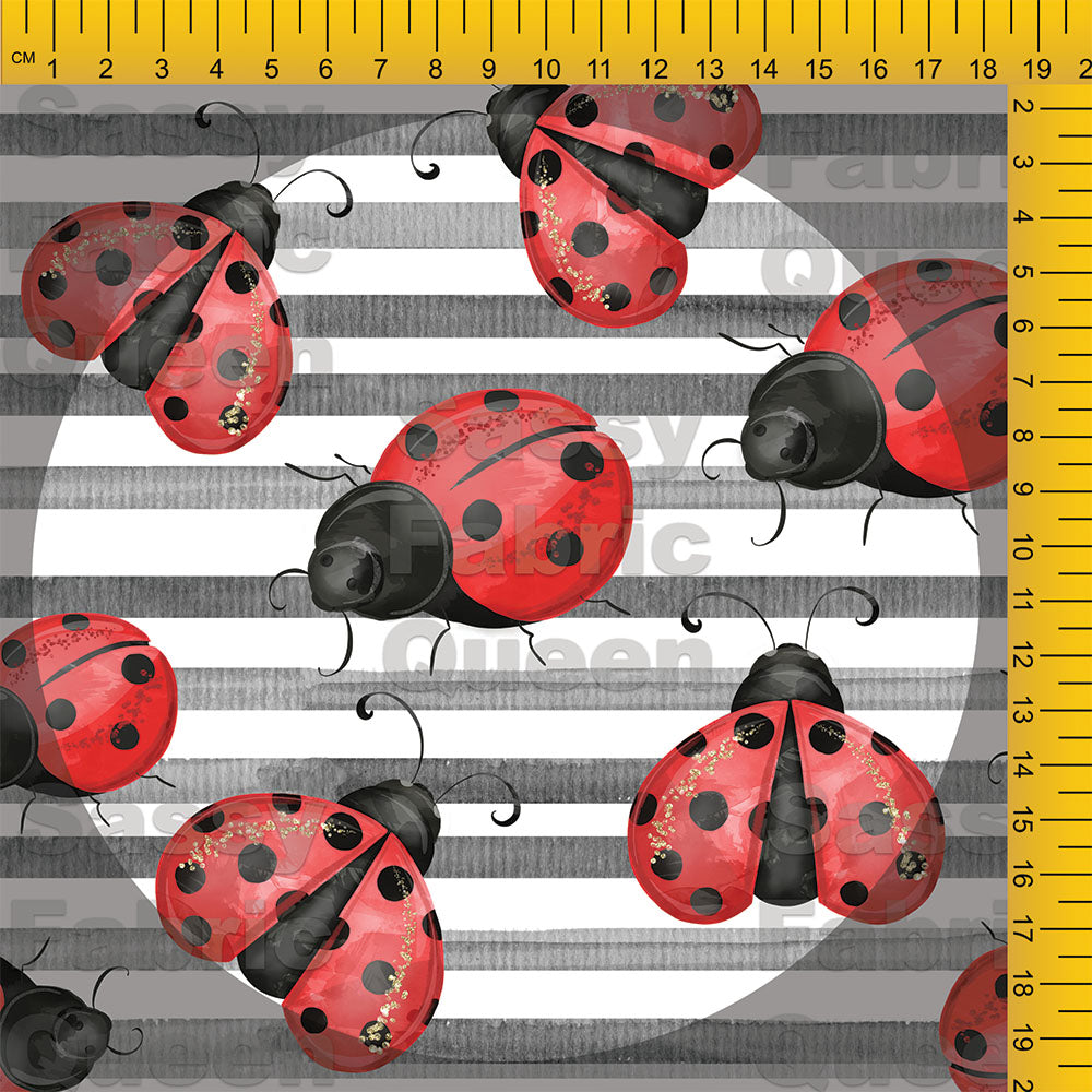 Ladybugs on black stripes